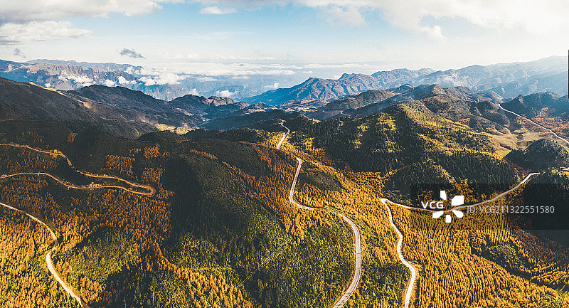 金阳秋色图片素材