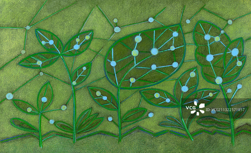 互联植物插画图片素材