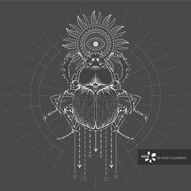 手绘圣甲虫与神圣几何图案图片素材