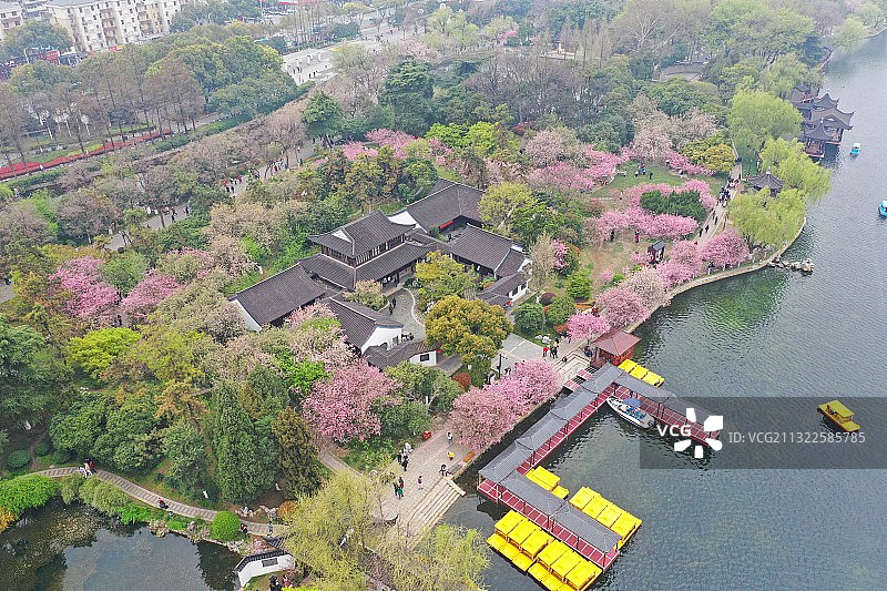 莫愁湖春色图片素材