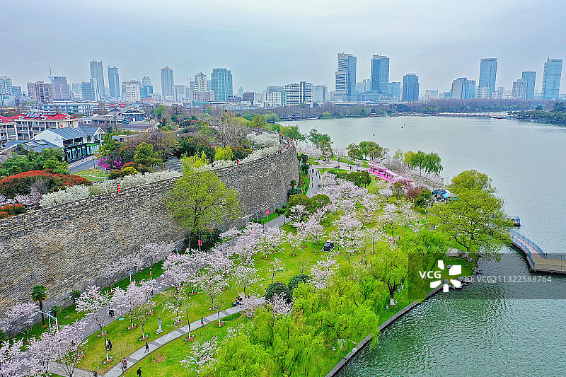 春季南京玄武湖公园，明城墙赏樱风光带图片素材