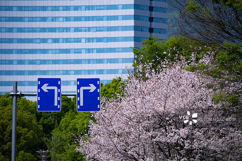 选择工作还是生活图片素材