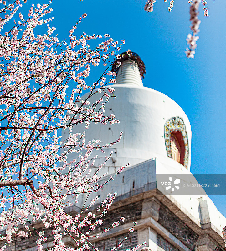 白塔春光图片素材