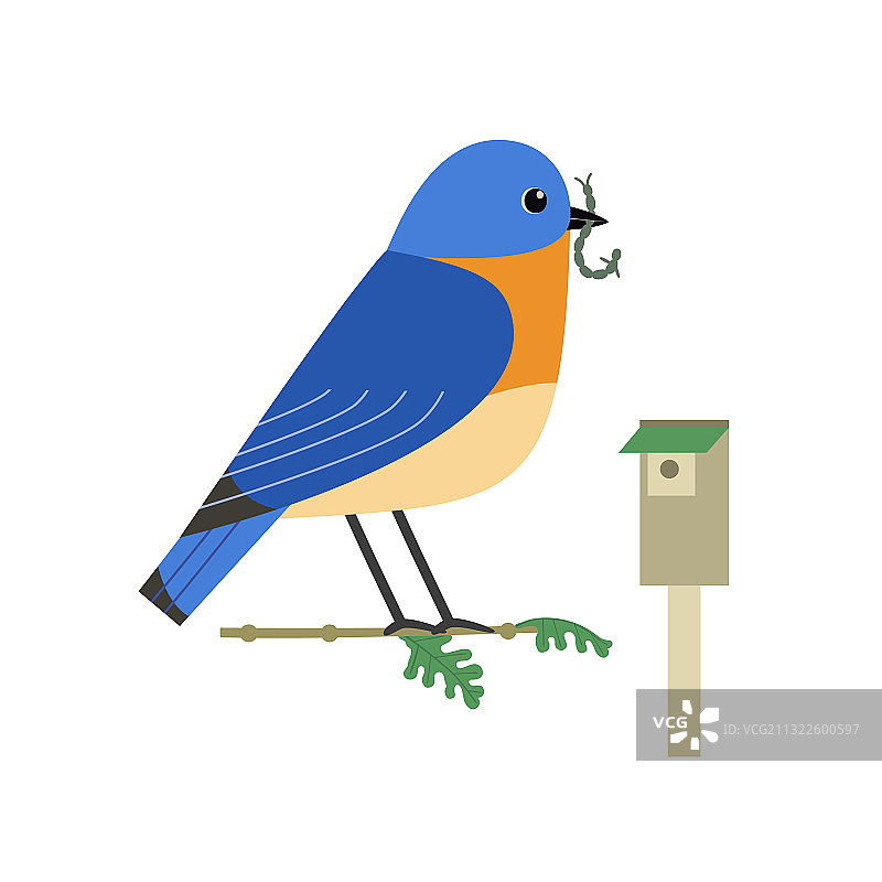 东部蓝知更鸟可爱扁平颜色图标图片素材