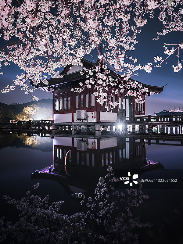 西湖夜樱图片素材