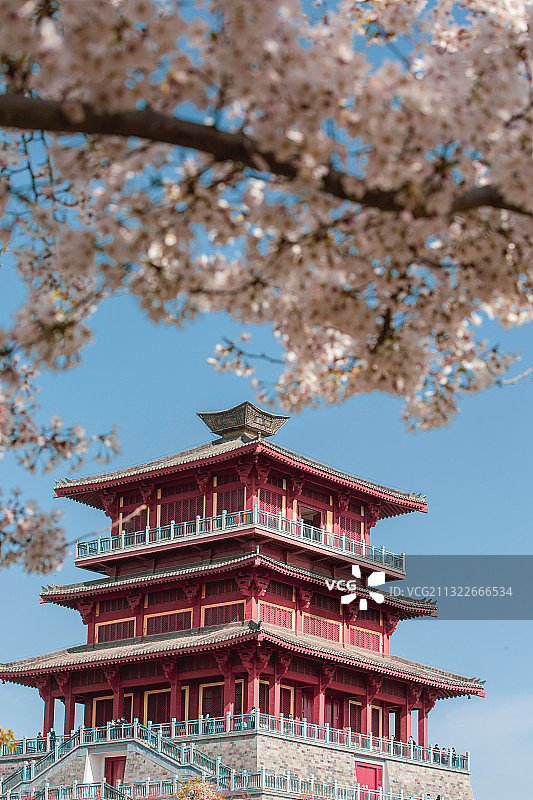 东亚亚洲中国河南省郑州市荥阳孤柏渡丰乐樱花园樱花古建图片素材