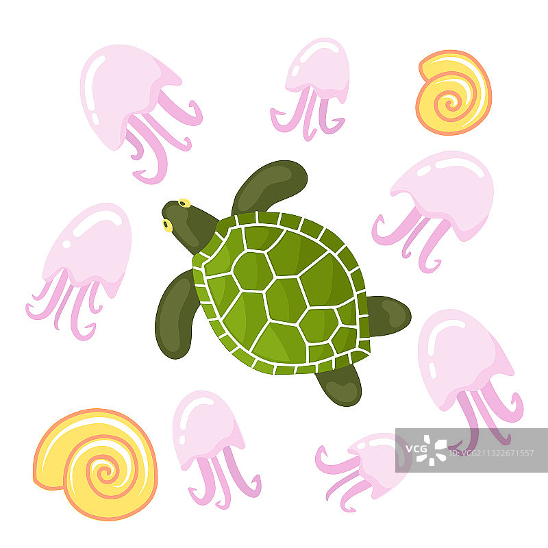 海龟壳和粉红色海洋生物集合图片素材