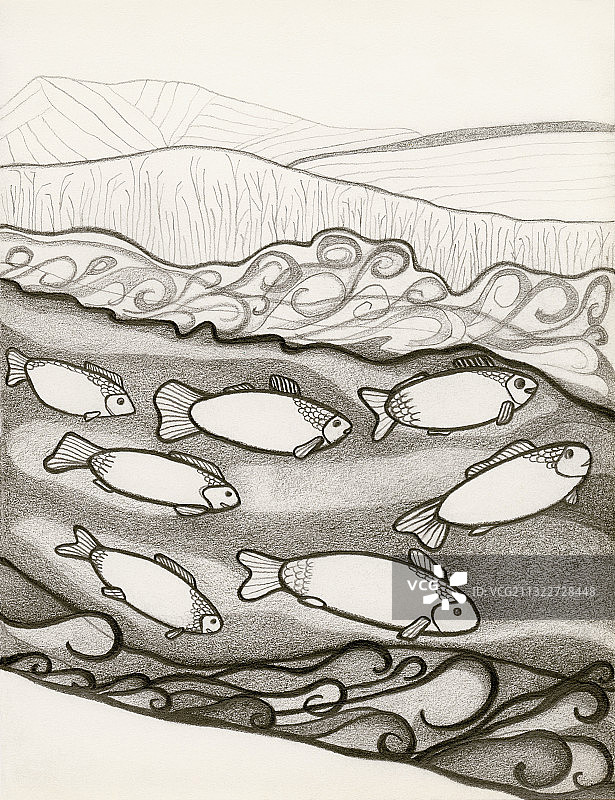 河流中游动的鱼的黑白绘画插图。图片素材