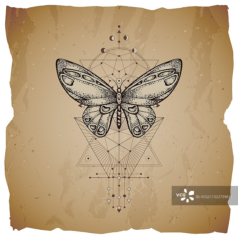 蝴蝶与几何符号图片素材