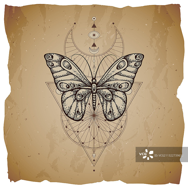 蝴蝶与几何符号图片素材