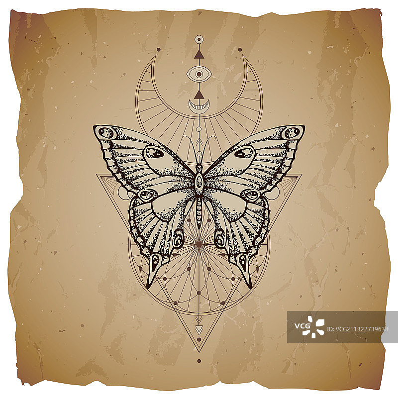 蝴蝶与几何符号图片素材