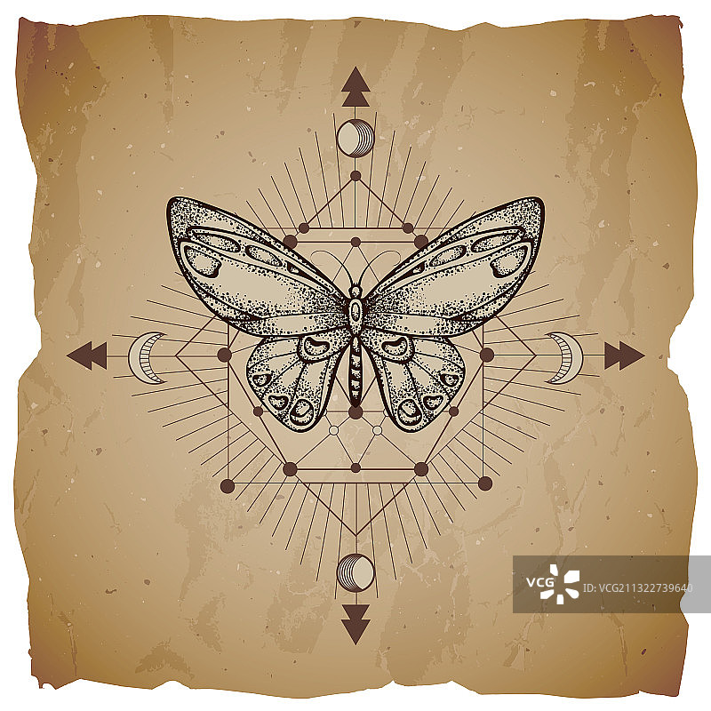 蝴蝶与几何符号图片素材