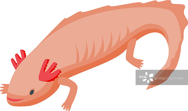 六角龙鱼蜥蜴图标2.5D风格图片素材