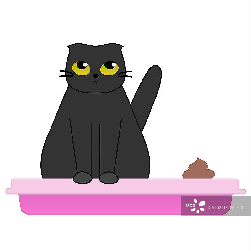 猫砂盆里可爱的小黑猫图片素材