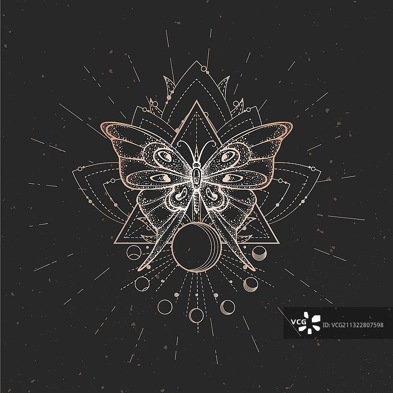 手绘蝴蝶和神圣的几何图案图片素材
