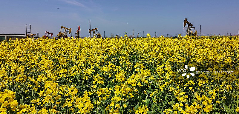 油井打在花园里图片素材