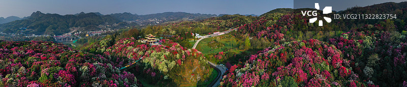 贵州百里杜鹃，地球上的绚丽的花腰带，人生至少必须要去一次的地图片素材