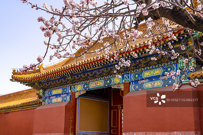 故宫慈宁宫春色满园图片素材
