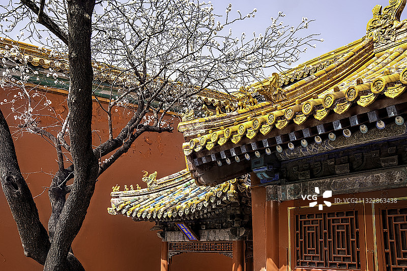 故宫御花园玉翠亭春色图片素材