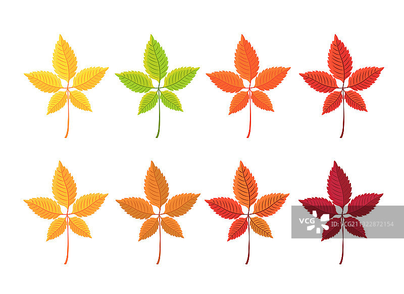 白色背景上的卡通秋叶素材图片素材