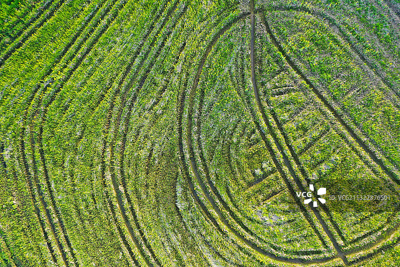 农田里的纹理图片素材