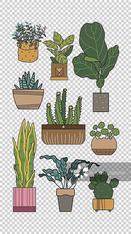 植物doodle风装饰图图片素材