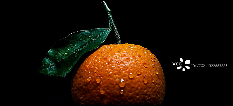 黑色背景下，湿漉漉的橙色水果特写图片素材