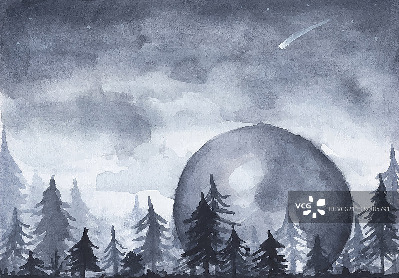 夜空下宁静的云杉林图片素材