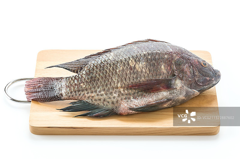 白色背景砧板上的鱼特写图片素材