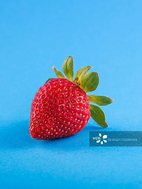 蓝色背景上的草莓特写图片素材