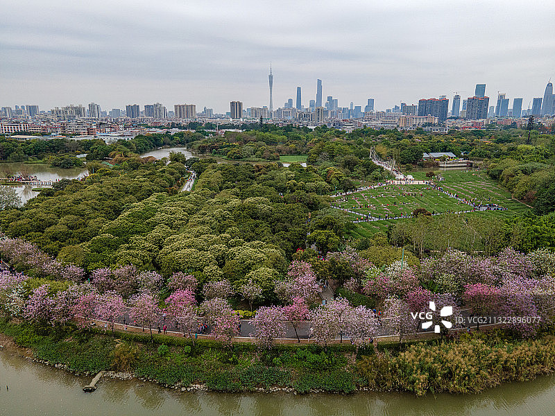 航拍广州海珠湖和海珠湿地公园图片素材