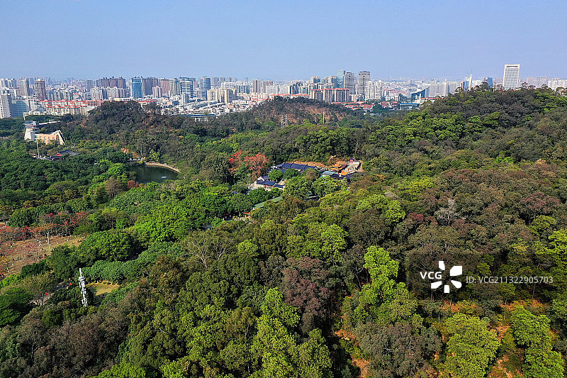 广东省东莞市旗峰公园航拍图片素材