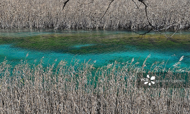 芦苇海，玉带河川流而过，好似一块蓝宝石。九寨沟风景区图片素材