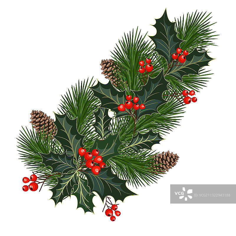 圣诞树枝图片素材