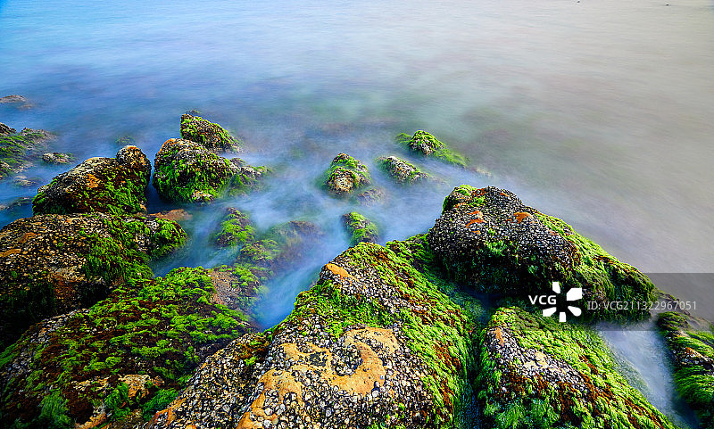 礁石与苔藓图片素材