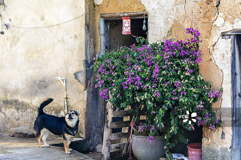 中国广东省梅州市梅县侨乡村图片素材