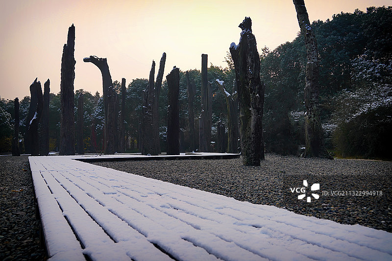 乌木林 成都图片素材