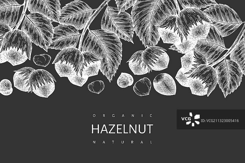 手绘榛子设计模板图片素材