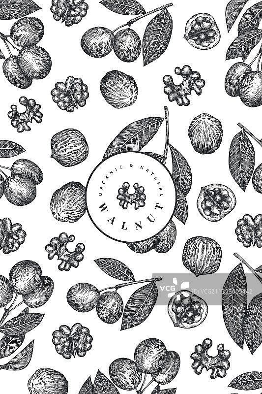 手绘有机核桃设计模板图片素材