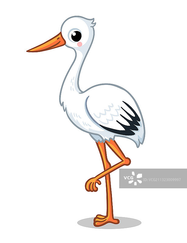 白色背景下单腿站立的可爱的鹳图片素材