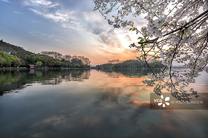 春暖樱花开图片素材