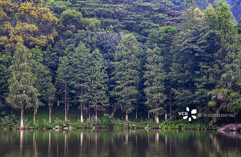 凤凰山公园图片素材