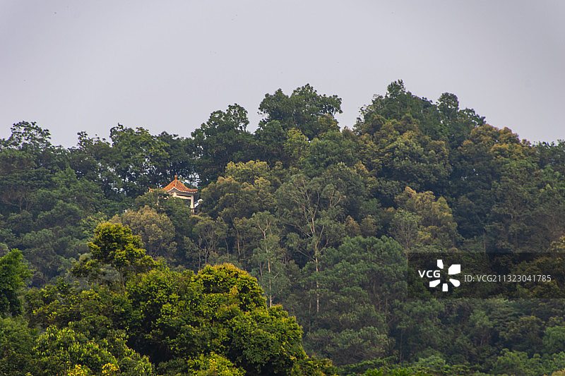 凤凰山公园图片素材