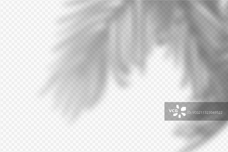 逼真的热带阴影图片素材