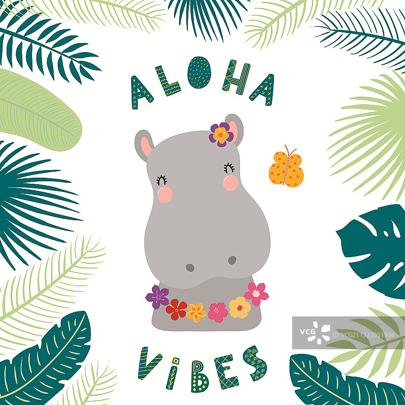 夏日里的可爱河马图片素材