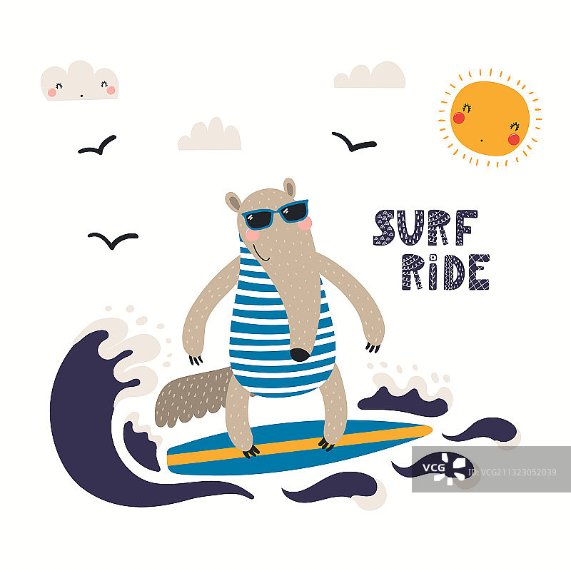 可爱的食蚁兽图片素材