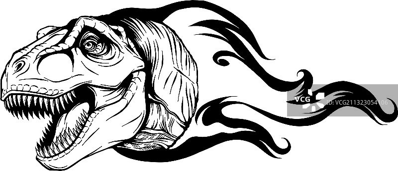 霸王龙头部艺术图片素材