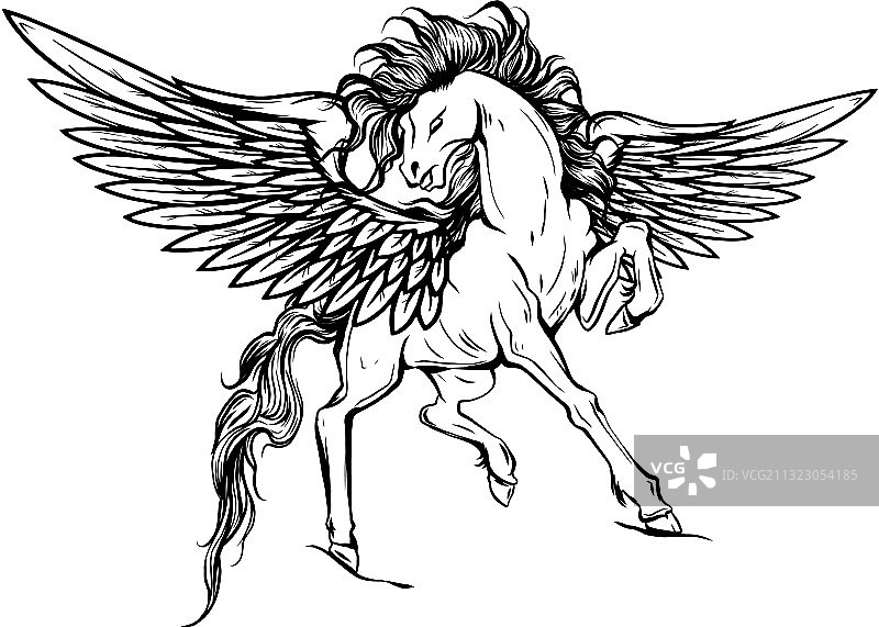 白色飞马神话中的带翼马图片素材