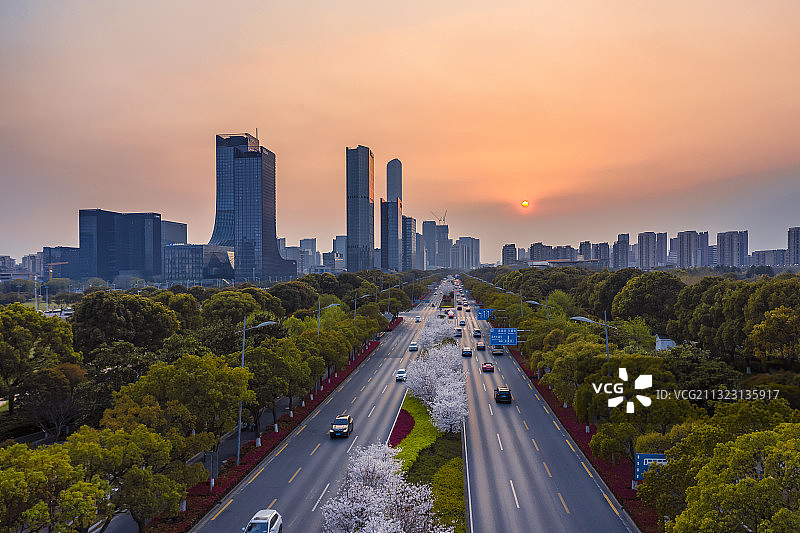 苏州园区现代大道樱花开图片素材