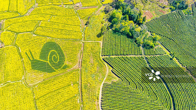 高淳桠溪国际慢城油菜花海无人机航拍图片素材
